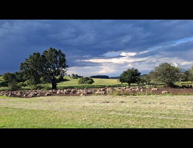 FARM FOR SALE IN CAROLINA